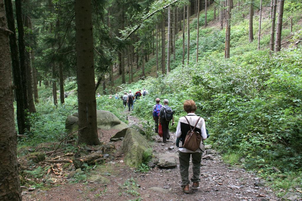 Fewo Amsbergstrasse Bad Harzburg Oda fotoğraf